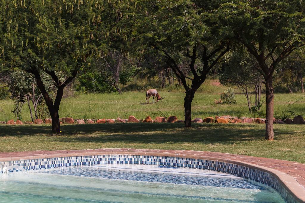 Birdsong Cottages Modimolle Bagian luar foto